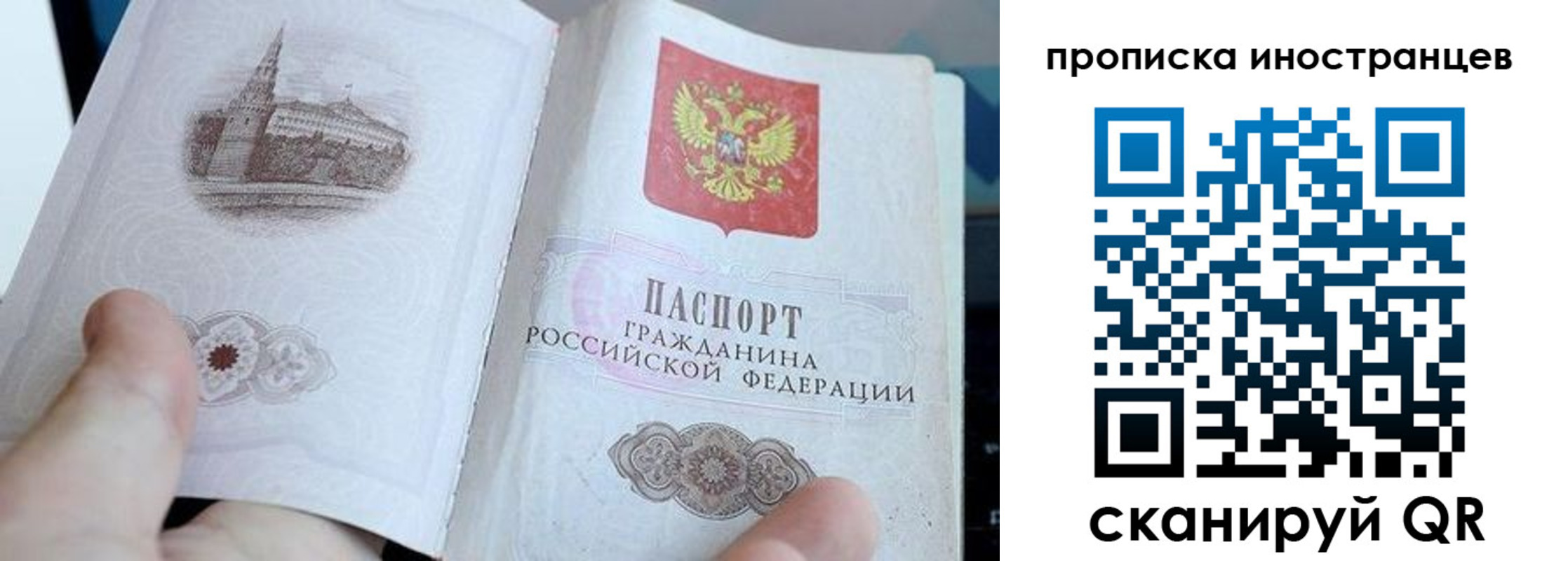 прописка законно в Апатитах